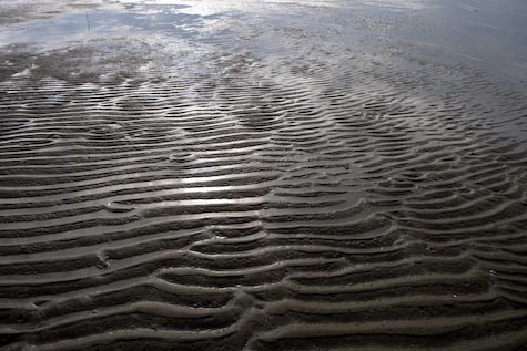 beach ripples