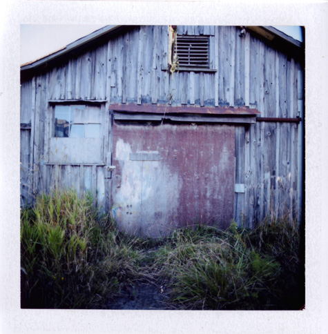 An Old Shed