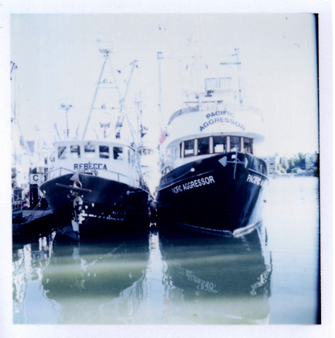 Fishing Boats In Ladner
