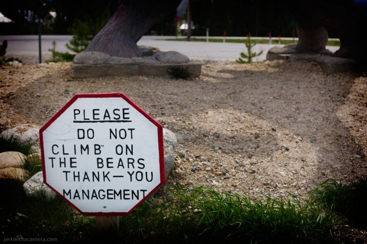 Do not Climb on bears