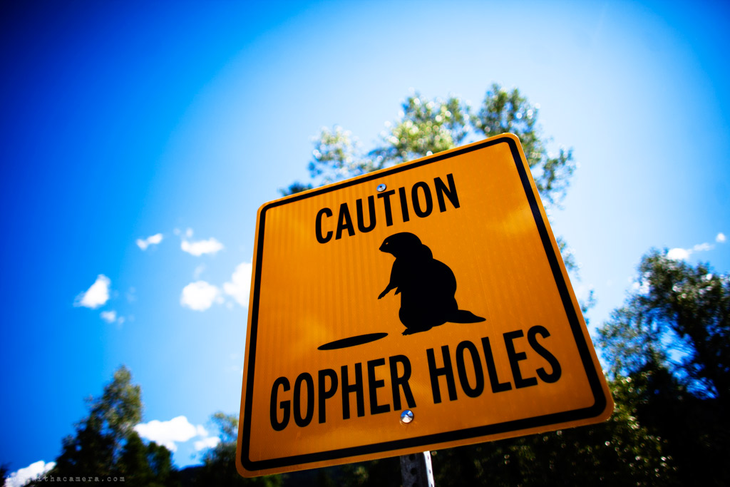 Selfies and Gopher Holes