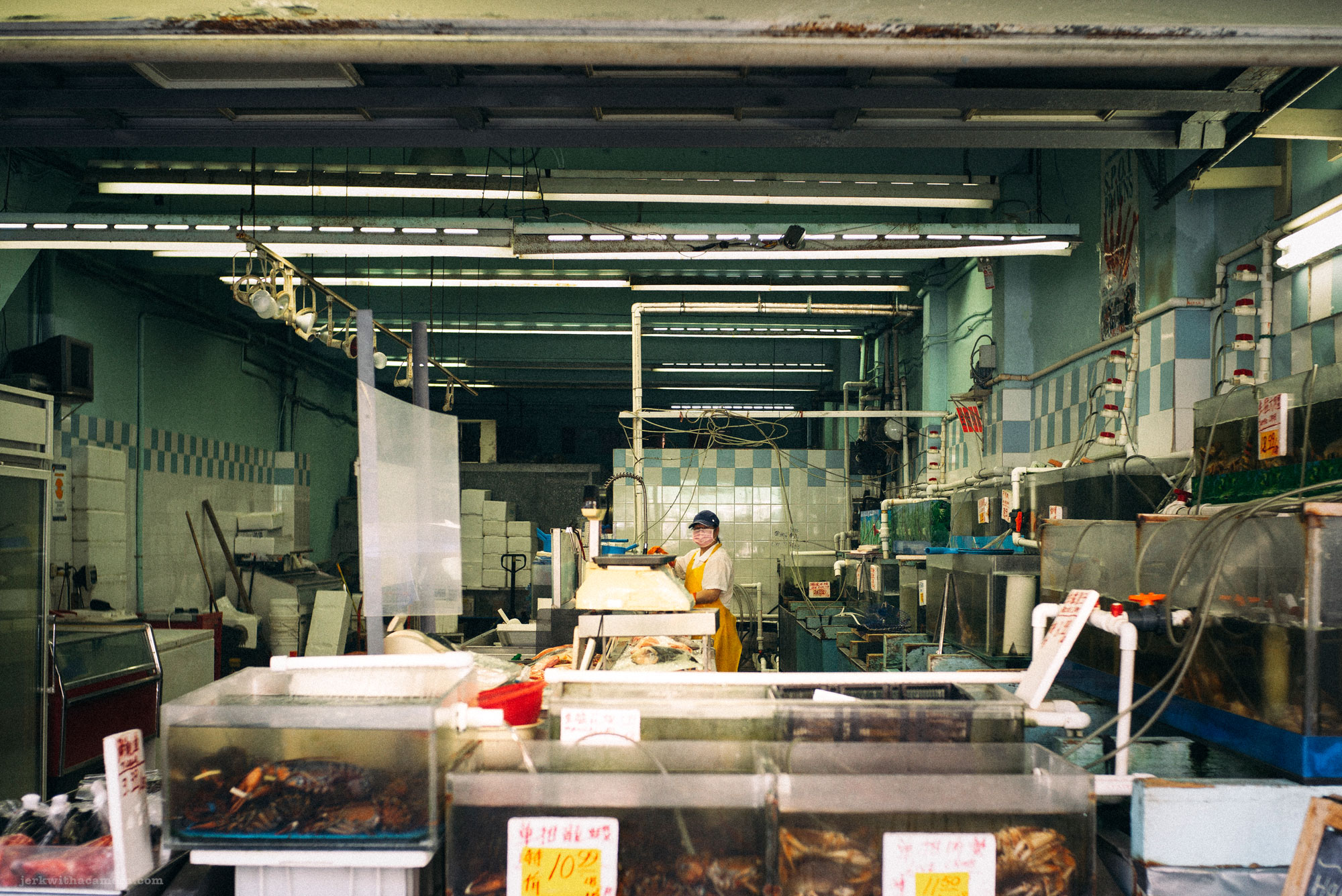 Fish Market In Chinatown