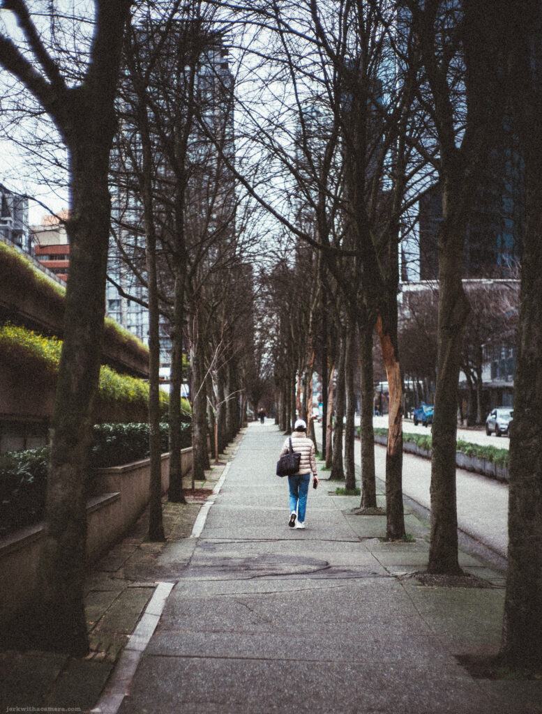 A person strolls down a tranquil tree-lined pathway in Vancouver, with bare branches arching overhead in the quiet of an overcast day.