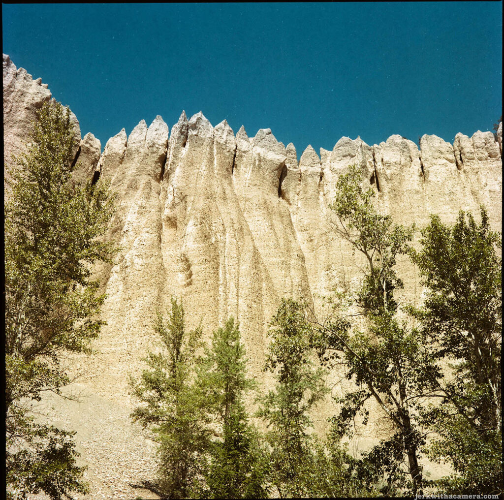 Striking earth formations and trees under a clear blue sky, captured on Kodak Portra VC 400 with a Mamiya C330 TLR medium format camera.