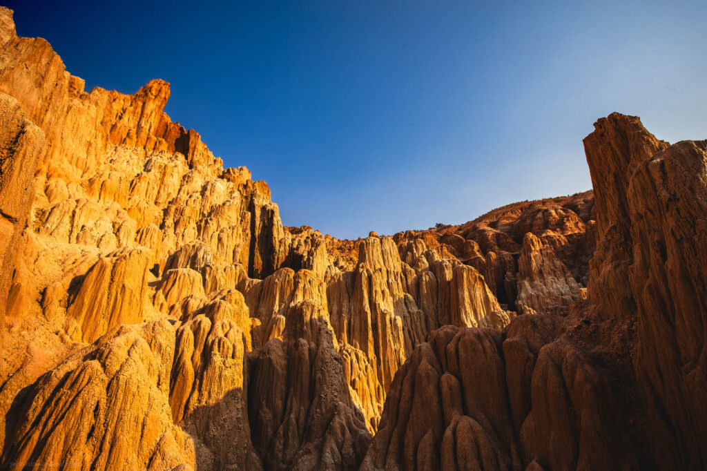 Looking up through towering rock formations with vivid blue sky above, illuminated by the warm glow of sunlight.