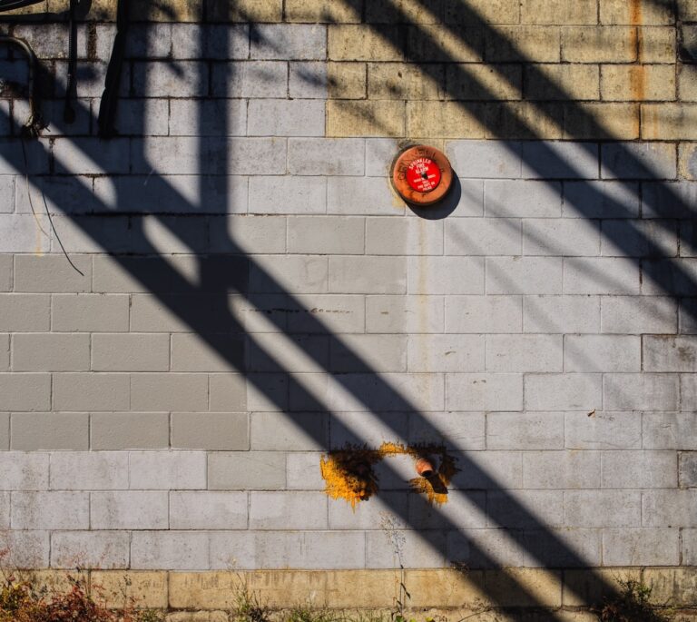 It’s been a long time since I have had the chance to go for a walk with a camera.