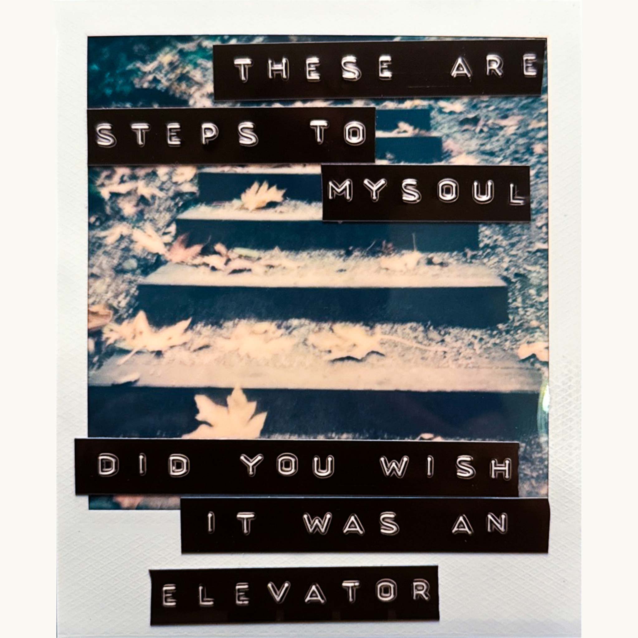 polaroid & film